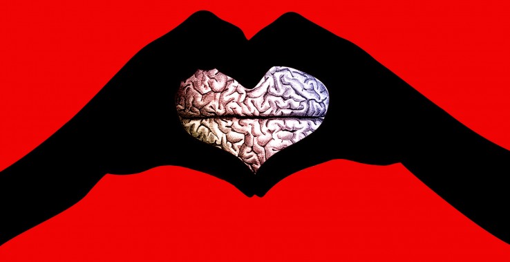 love-your-brain
